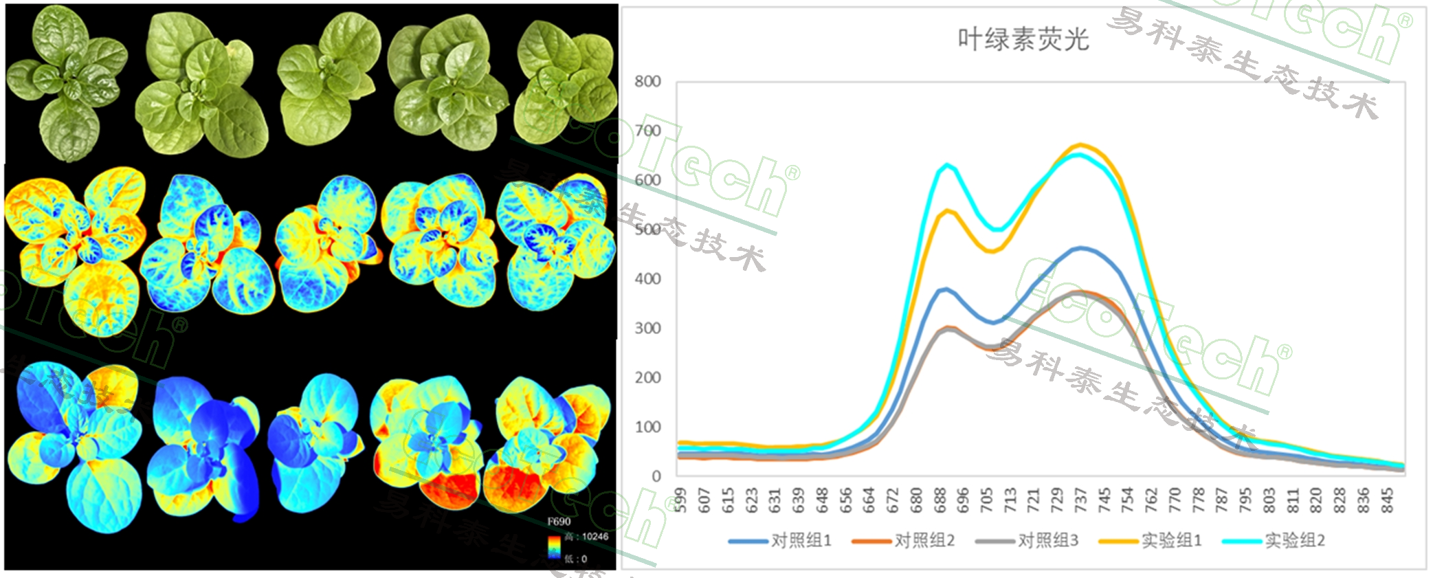 首页- 南宫NG28国际集团官方网站