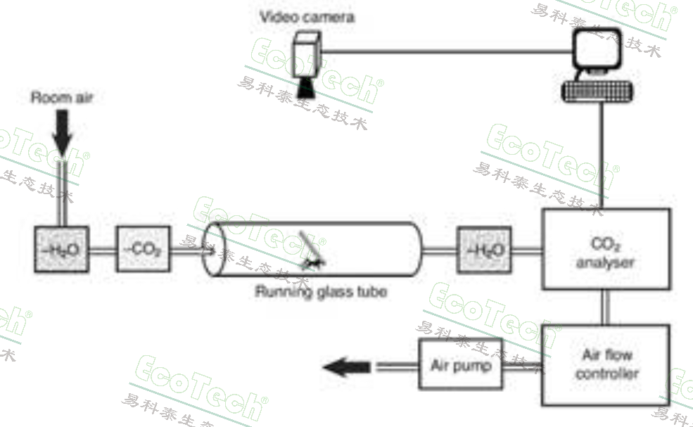 clip_image006.jpg Macintosh HD:Users:cqyu:Desktop:Ecotech-Suppliers:北美:Sablesys.com:Reference:虫豸等无脊椎动物:Ants:ant respirometry.jpg