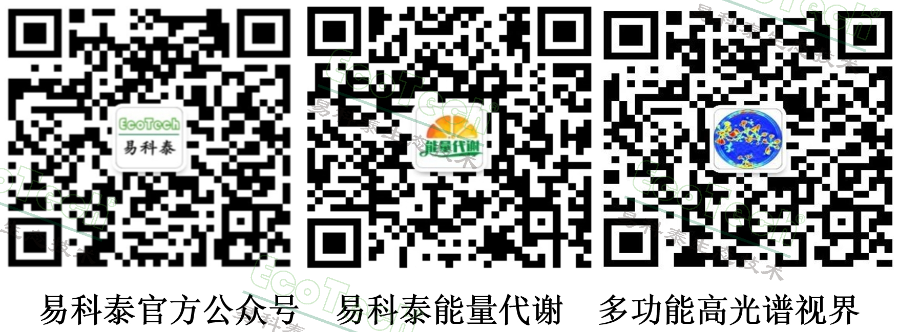 1749007504583 首页- 南宫NG28国际集团官方网站