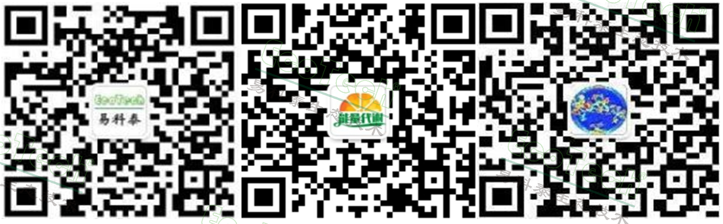 首页- 南宫NG28国际集团官方网站
