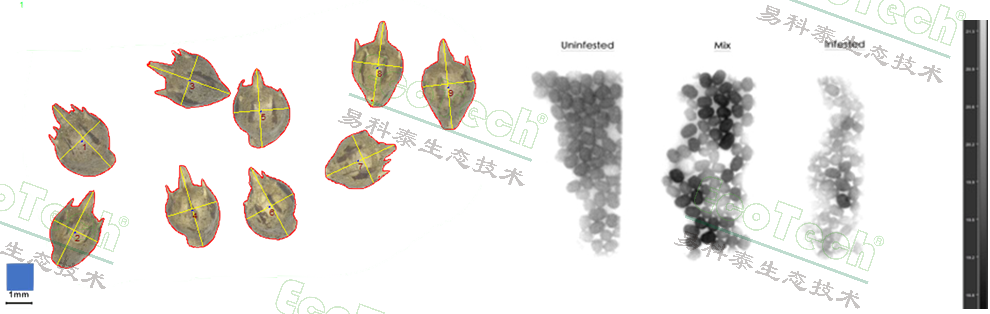 首页- 南宫NG28国际集团官方网站