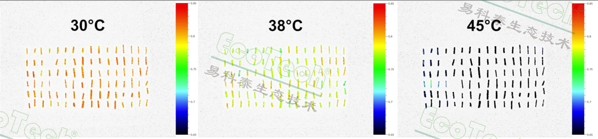 1778832345191 首页- 南宫NG28国际集团官方网站