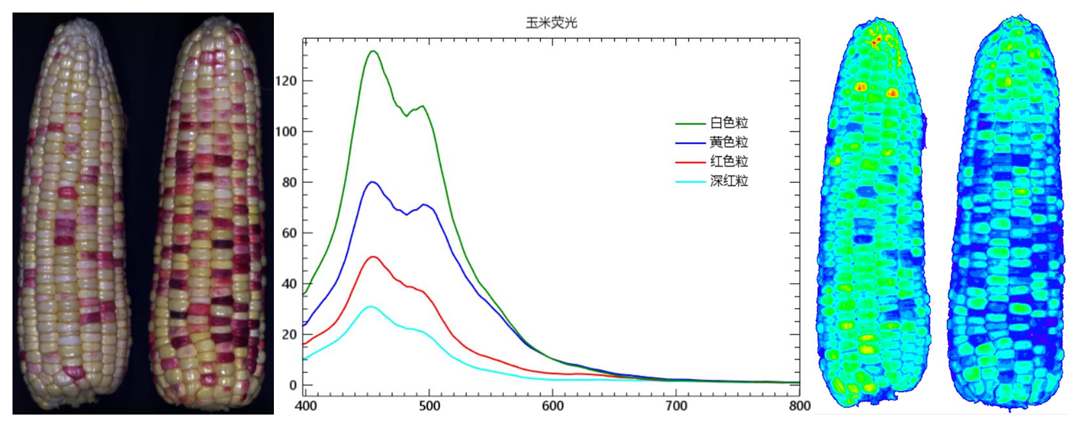 微信截图_20220507152908.png 微信截图_20220507152908.png